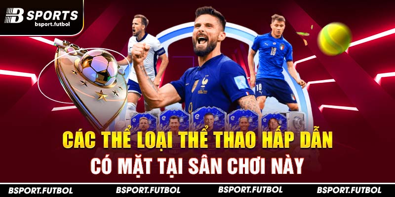 Các thông tin cơ bản nhất về sảnh thể thao DB-Sport