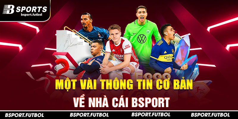 Một vài thông tin cơ bản về nhà cái Bsport