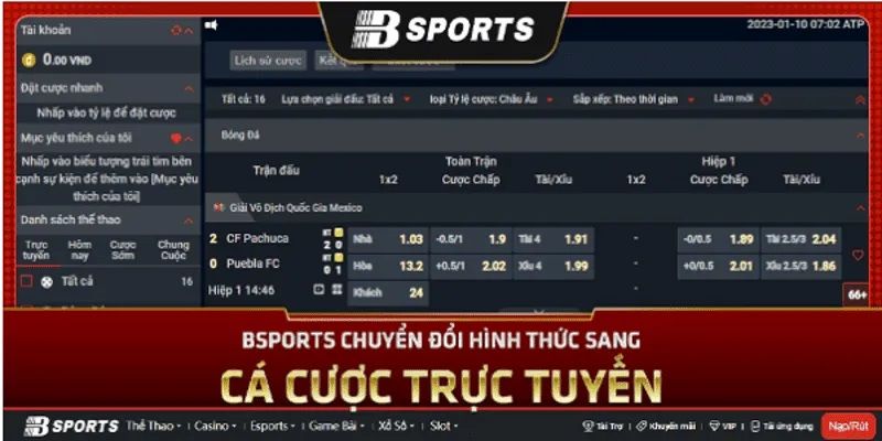 3 dạng kèo thường gặp nhất tại trang thể thao FB Sport