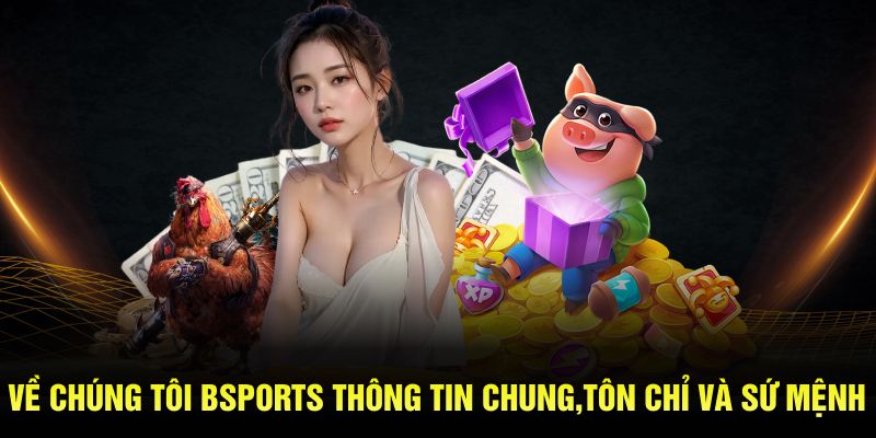 Về chúng tôi Bsport