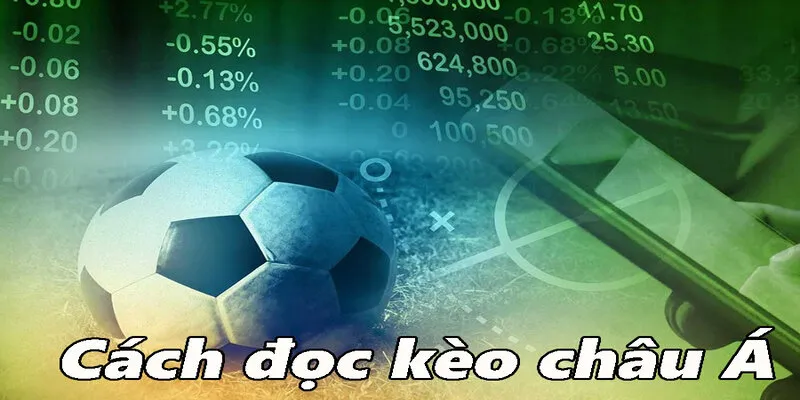 Cách đọc kèo chấp và tính tiền cá cược tai Bsport